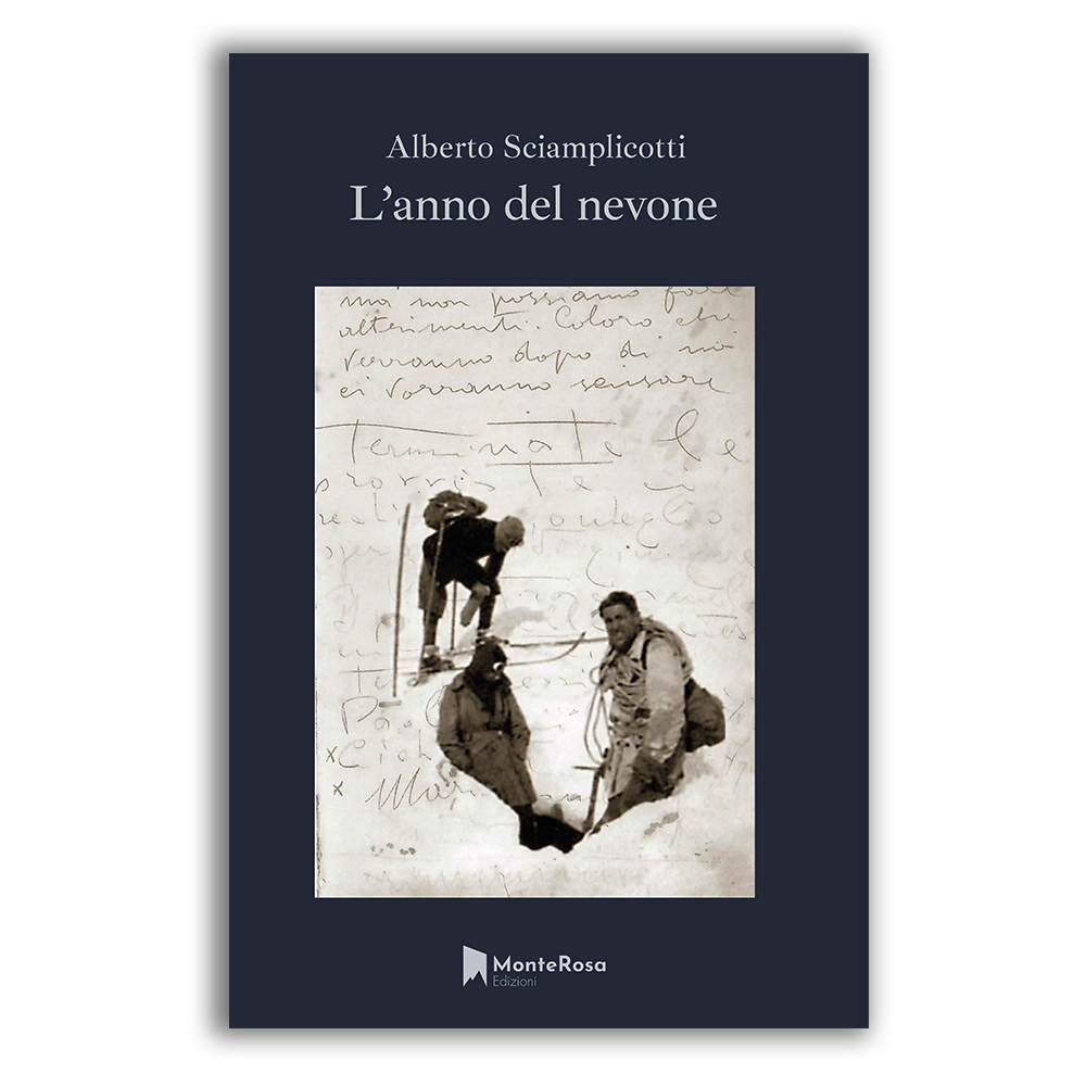 Copertina del libro L'anno del nevone di Alberto Sciamplicotti